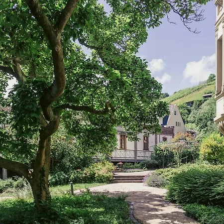 Schlossberg Weingut C.a. Haussmann 公寓